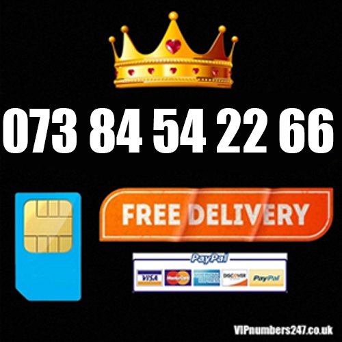 073 84 54 22 66 073 84 54 22 66