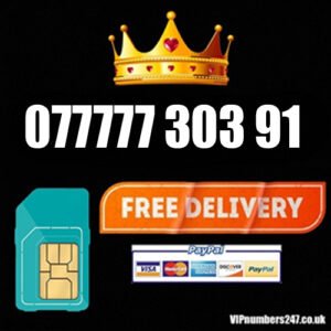 077777 303 91