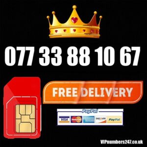077 33 88 10 67