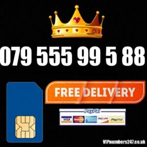 079 555 99 5 88