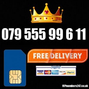 079 555 99 6 11