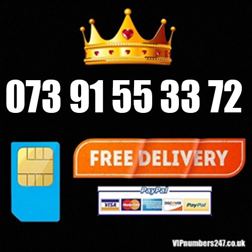 073 91 55 33 72 073 91 55 33 72