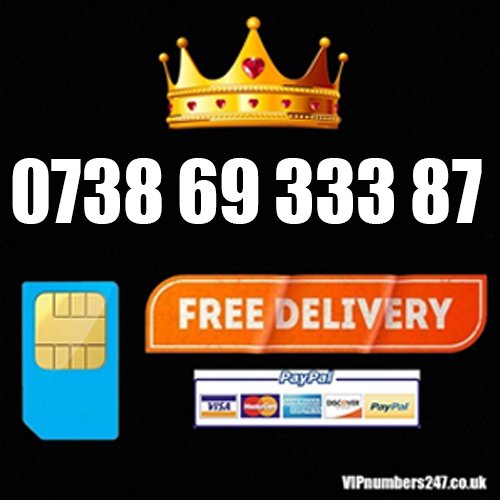 0738 69 333 87 0738 69 333 87