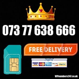 073 77 638 666