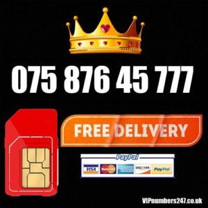 075 876 45 777