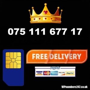 075 111 677 17