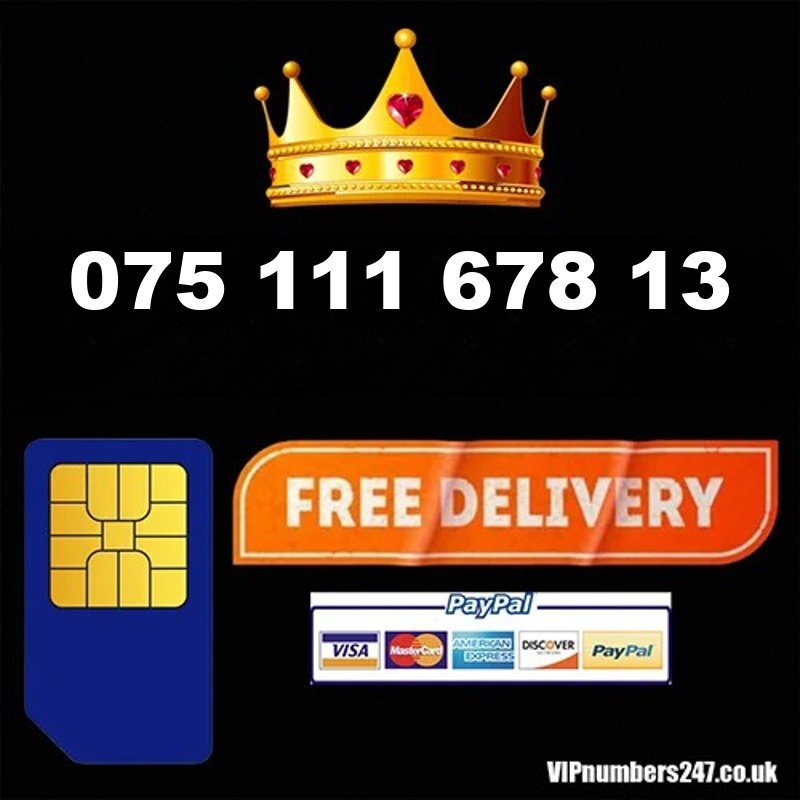 075 111 678 13 075 111 678 13