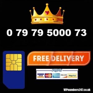 0 79 79 5000 73