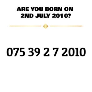 075 39 2 7 2010