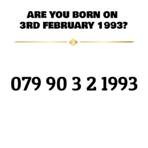079 90 3 2 1993